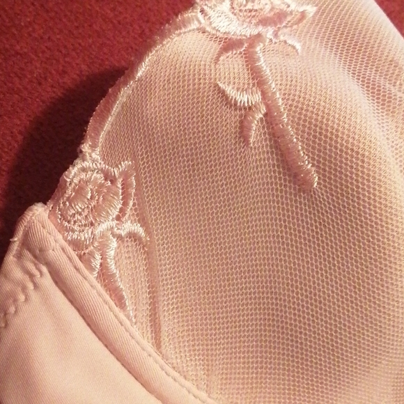 NWOT Beautiful bra top - Picture 3 of 3